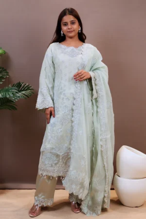 organza-suit-with-cutdana-work-and-thread-work-plus-lace-work