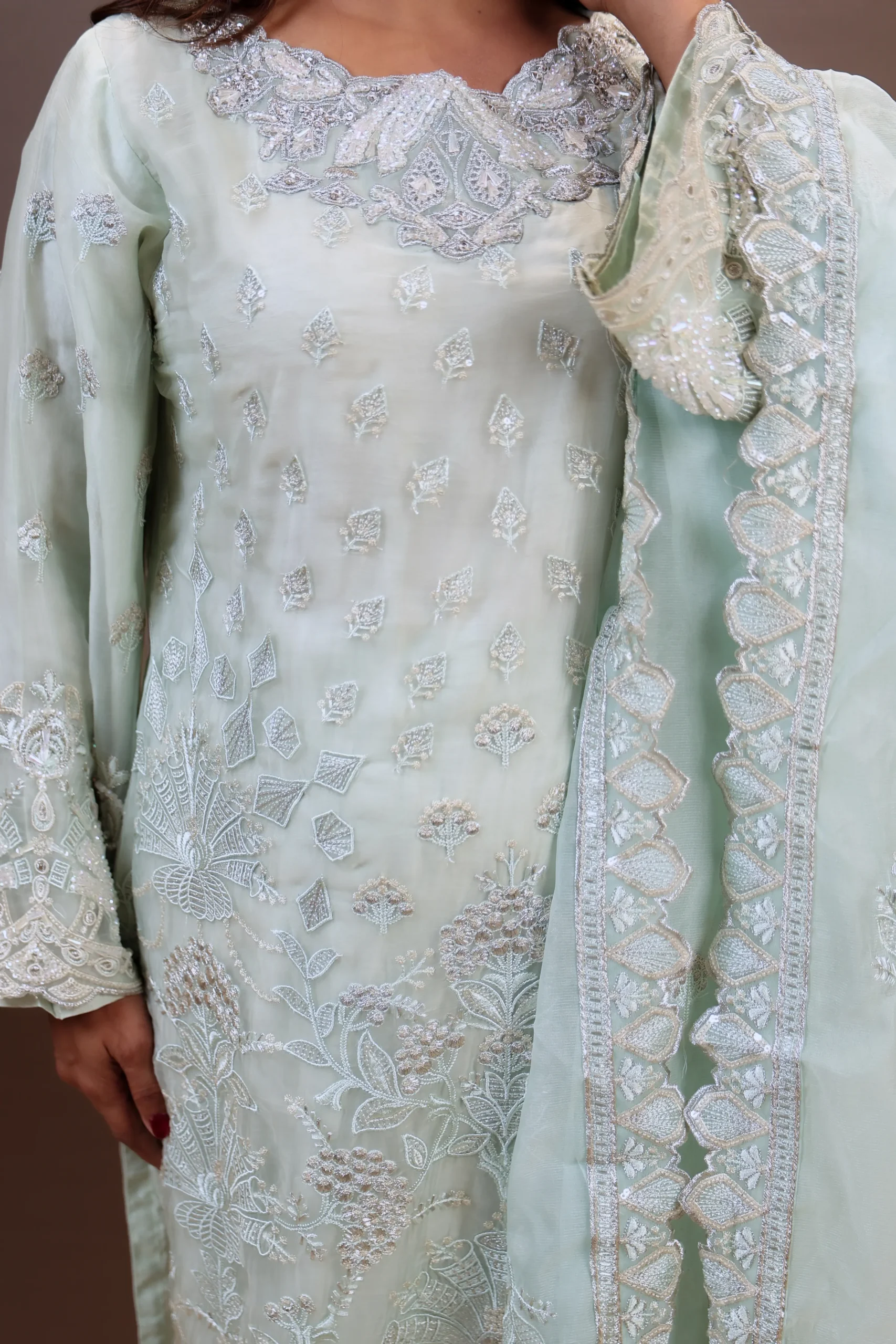 Organza Suit with Cutdana Work, Thread Work, and Lace Work - Image 5