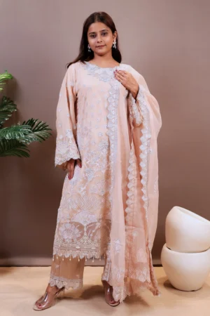 organza-suit-with-cutdana-work-and-thread-work-plus-lace-work-2